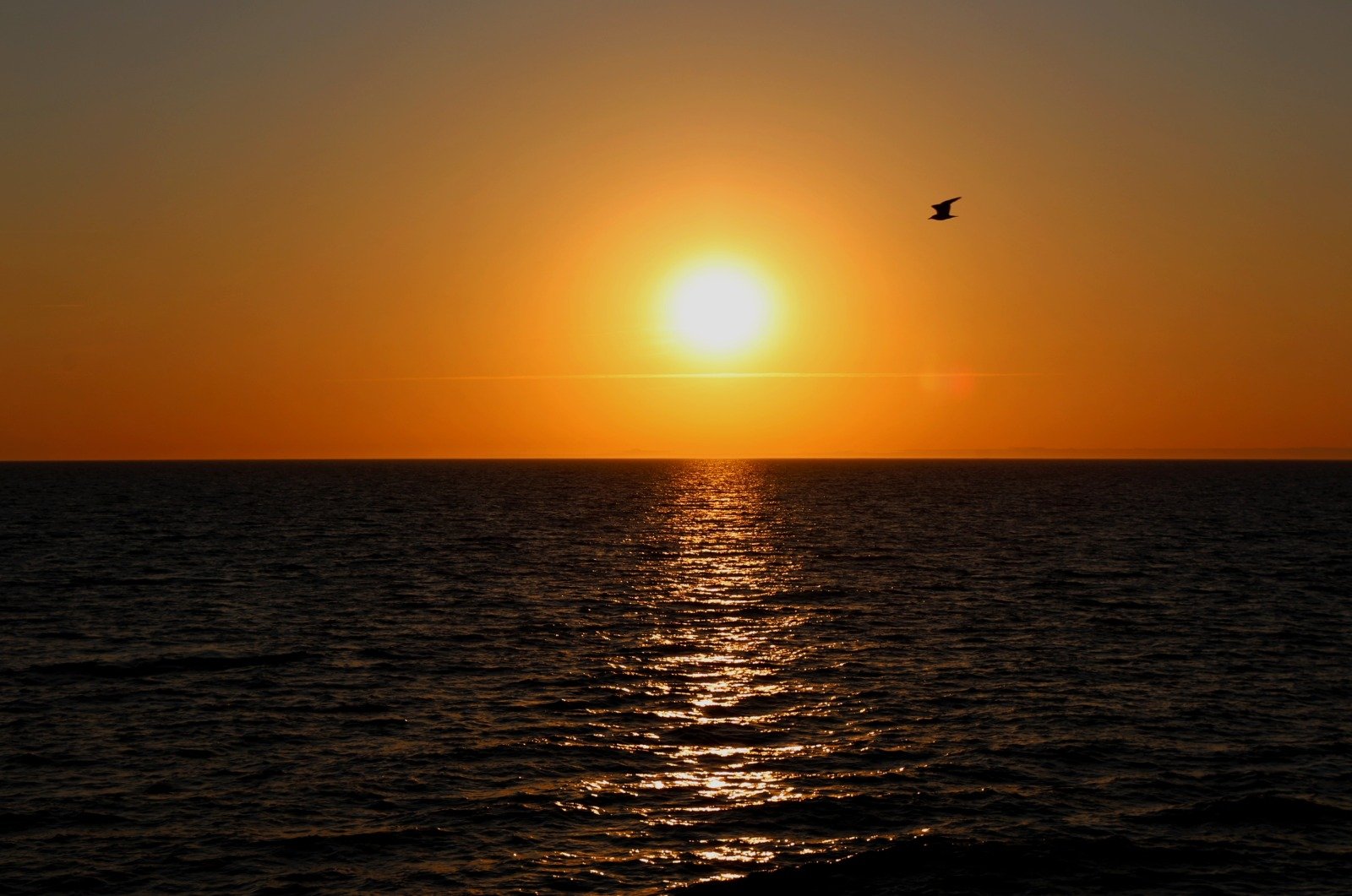 Ocean sunset — marine environmental research